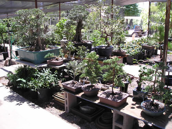 P1010025_jpg