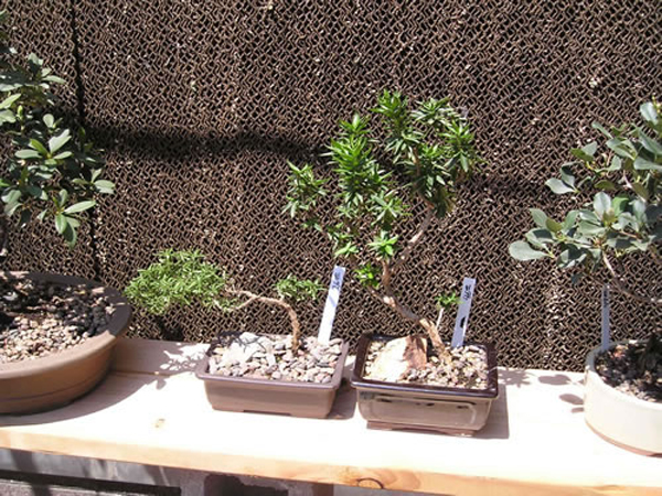 P1010044_jpg