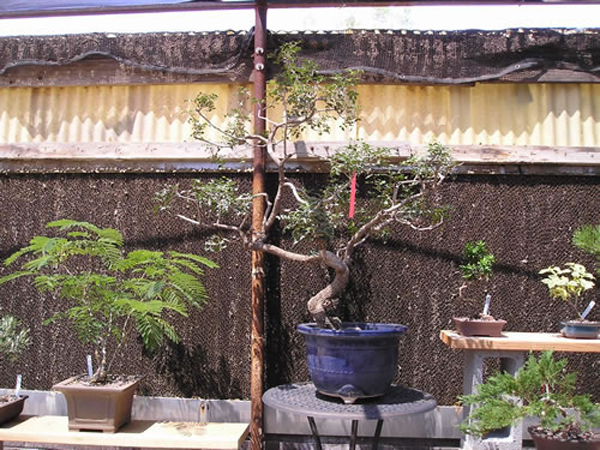 P1010048_jpg