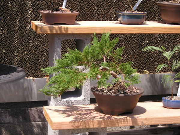 P1010050_jpg