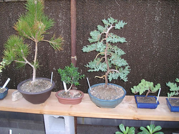 P1010072_jpg