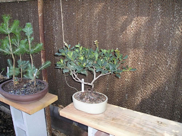 P1010111_jpg