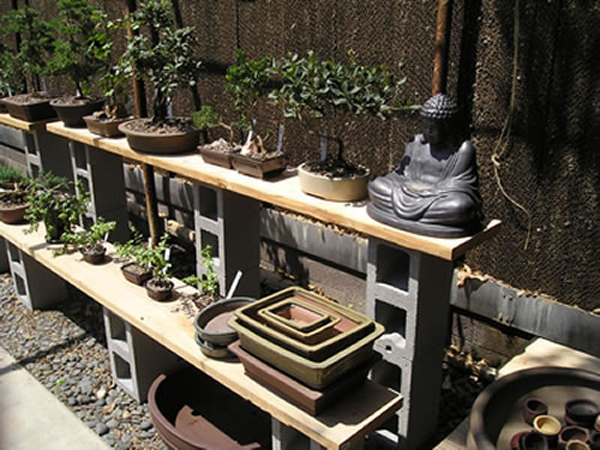 bonsai table 2_jpg