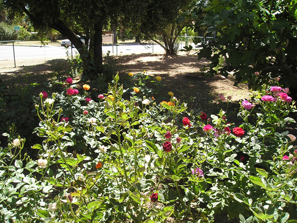 nursery - april 08 104