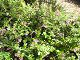 fall photos027.JPG 