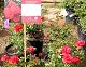 nursery 026.JPEG 