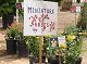 nursery 028.JPEG 