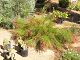 nursery 030.JPG 