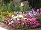 nursery 032.JPG 