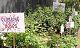 nursery 044.JPEG 