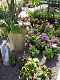 nursery 050.JPG 