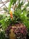 nursery 053.JPG 