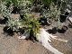 nursery 061.JPG 