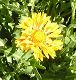 nursery 085.JPG 