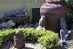 nursery 091.JPG 