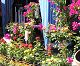 nursery 094.JPG 
