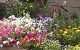 nursery 111.JPG 