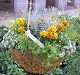 nursery 120.JPG 