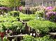 nursery 121.JPG 