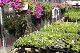 nursery 124.JPG 
