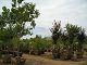 P1010001.JPG 