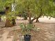 P1010002.JPG 