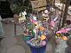 P1010002.JPG 