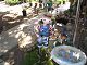 P1010003.JPG 