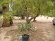 P1010004.JPG 