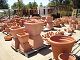 P1010004.JPG 