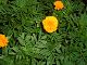 P1010006.JPG 