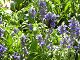 P1010009.JPG 