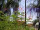 P1010011.JPG 