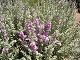 P1010015.JPG 