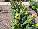 P1010016.JPG 