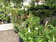 P1010018.JPG 