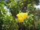 P1010023.JPG 