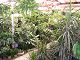 P1010024.JPG 