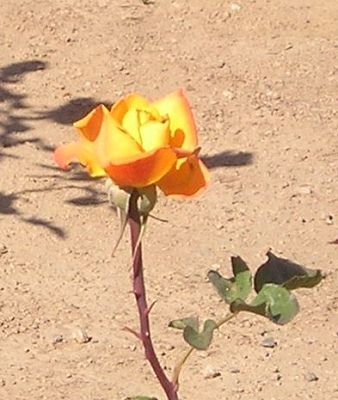 012.jpg