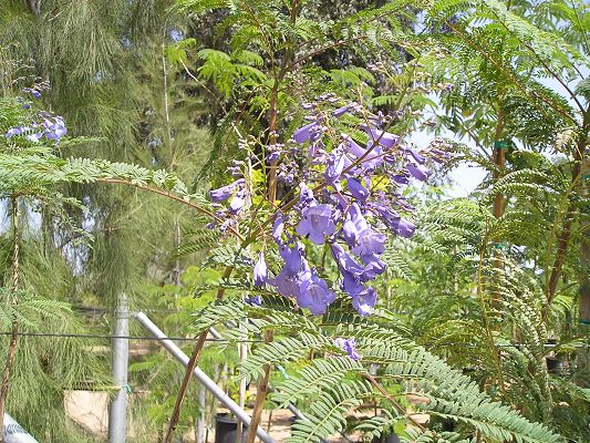 nursery_009_1.jpg
