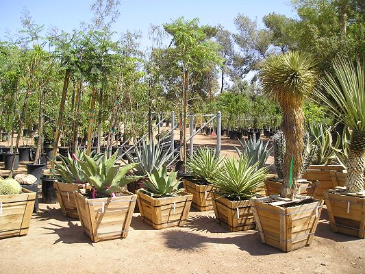 nursery_013_1.jpg