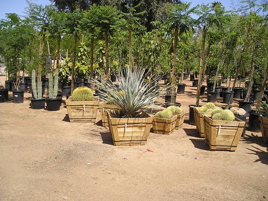 nursery_014_1.jpg
