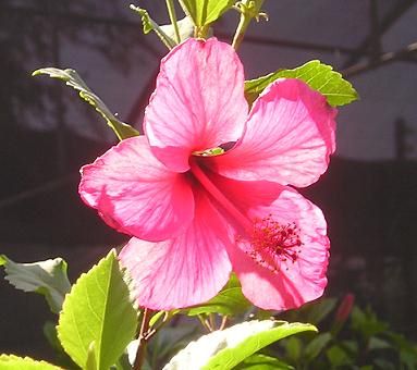 nursery_024_1.jpg