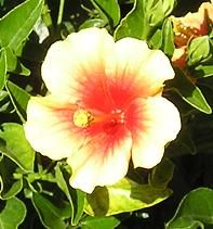 nursery_026_1.jpg