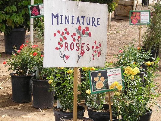 nursery_028.jpg