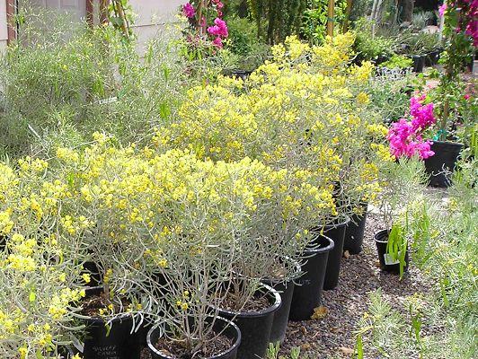 nursery_029.jpg