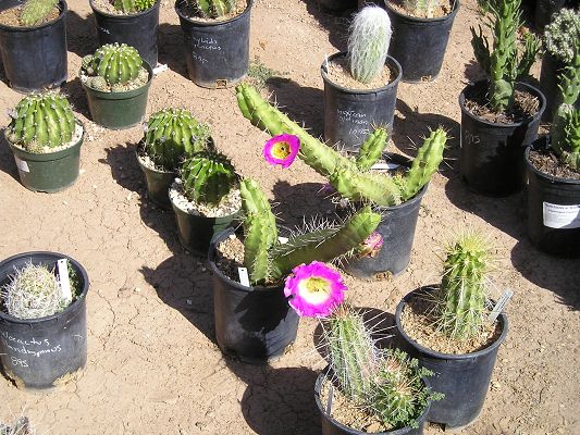 nursery_029_1.jpg