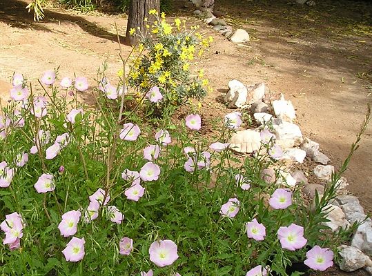 nursery_031.jpg