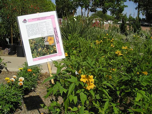 nursery_035.jpg
