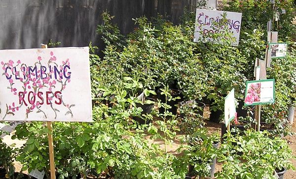nursery_044.jpg